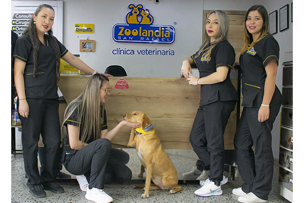 equipo 1